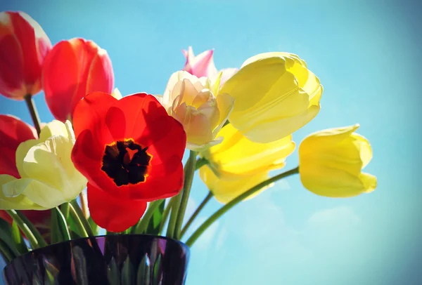 Boeket van kleurrijke tulpen — Stockfoto