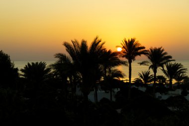 Sunrise, red sea, Mısır