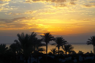 Güzel sabah erken Seaview