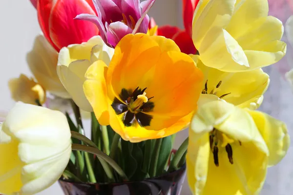 Bouquet of colorful spring tulips — Stock Photo, Image