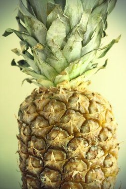 olgun ananas
