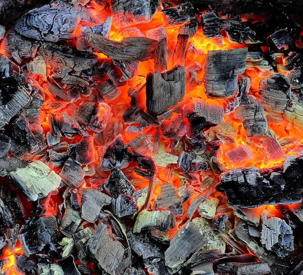 The wood coal burns on fire — Stock Photo © soleg 12117099