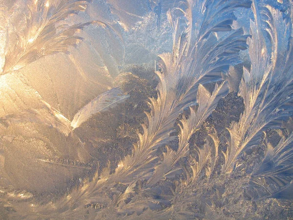 Beautiful Ice Pattern Sunlight Close Window Glass Early Morning Natural — Stock Photo, Image
