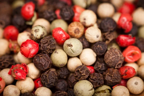 Spices — Stock Photo, Image