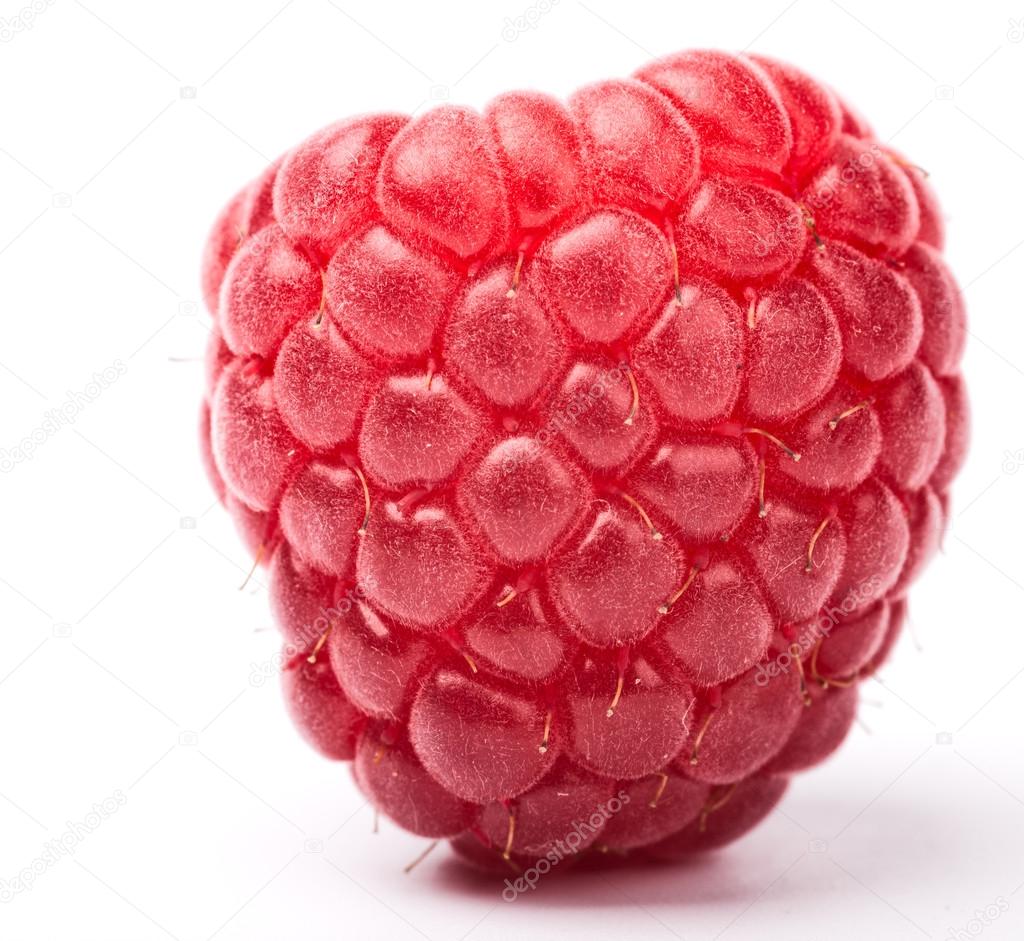 raspberry on white