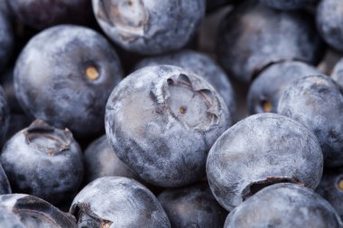 pek çok yaban mersini