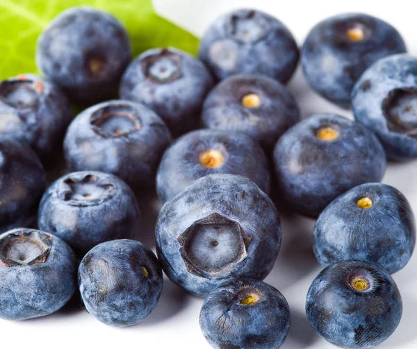 Viele Blaubeeren — Stockfoto