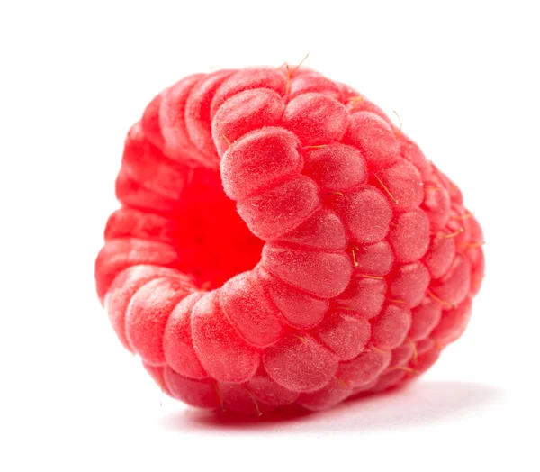 Himbeeren — Stockfoto