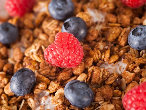 Müsli mit Beeren — Stockfoto