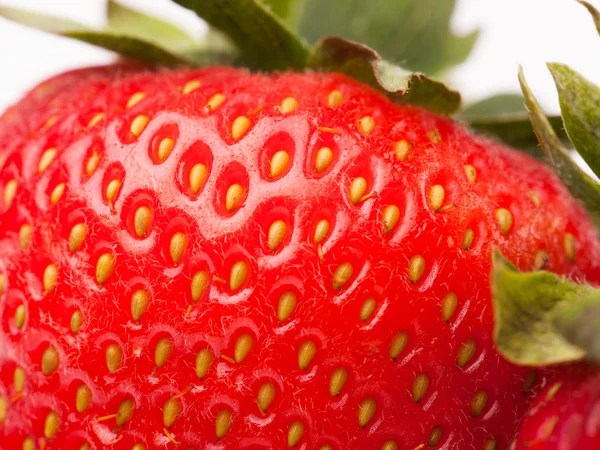 Erdbeeren — Stockfoto