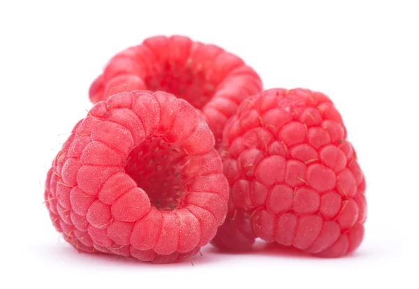 Raspberry — Stock Photo, Image