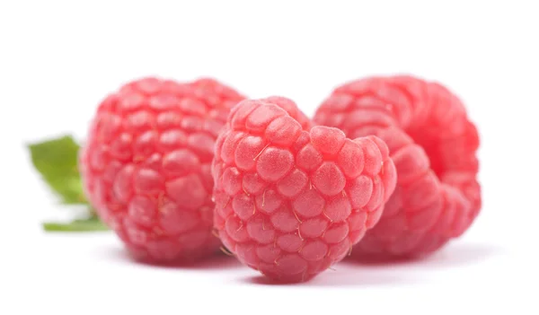 Himbeeren — Stockfoto