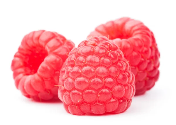 Raspberry on white — Stock Photo, Image