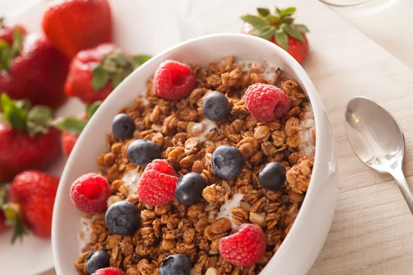 Müsli mit Beeren — Stockfoto