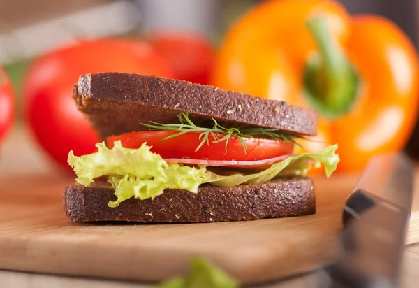 Big sandwich — Stock Photo, Image