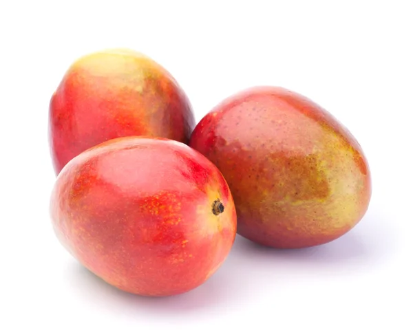 Mango maduro —  Fotos de Stock