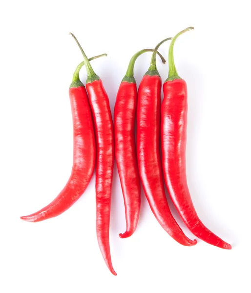 Röd paprika — Stockfoto