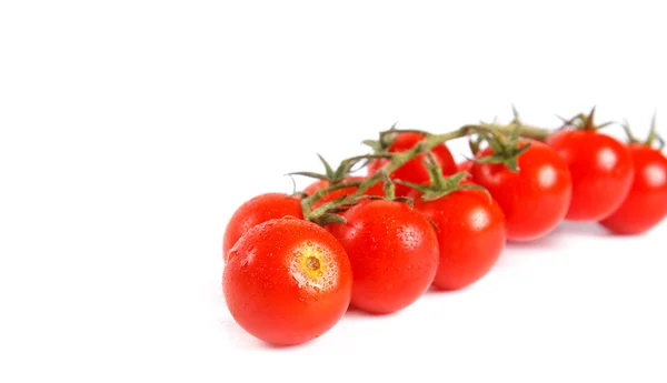 Fresh tomatoes — Stock Photo, Image