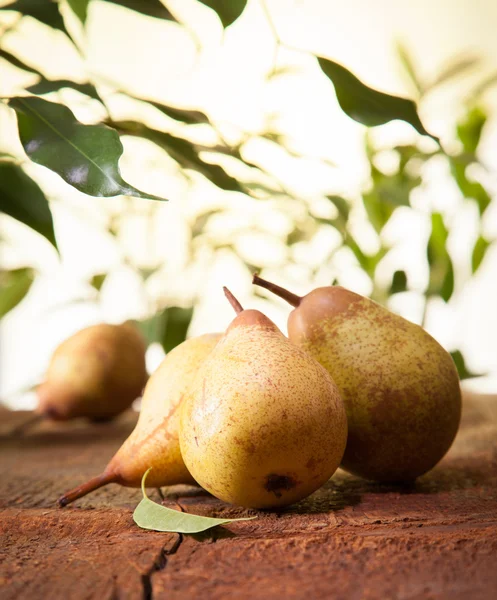 Yellow pears — Stock Photo, Image