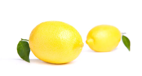 Ripe lemon — Stock Photo, Image