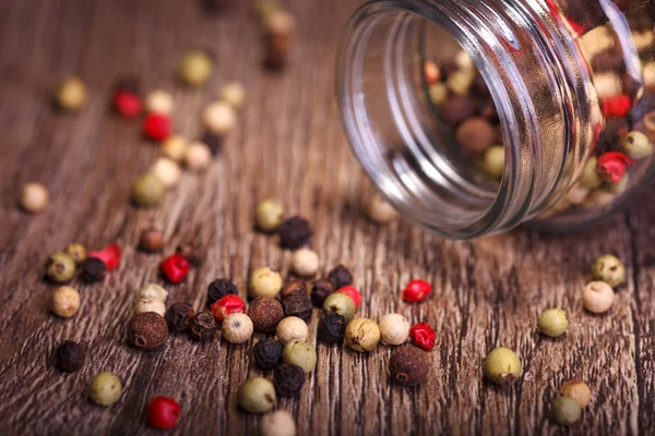 Spices — Stock Photo, Image