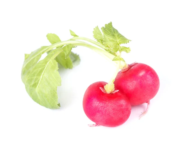 Ripe radish — Stock Photo, Image