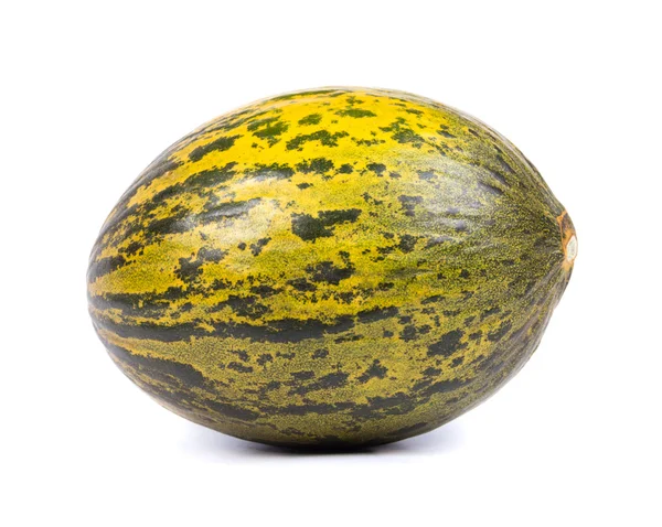 Melone — Foto Stock