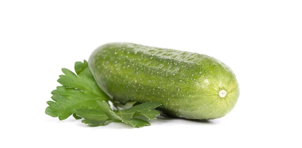 Green cucumber — Stock Photo, Image