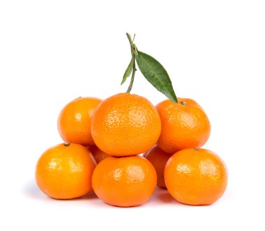 Olgun mandarin