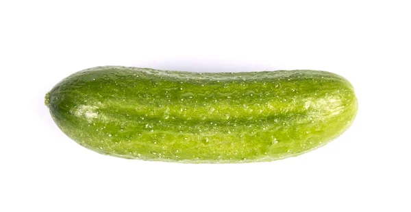 Pepino verde — Fotografia de Stock