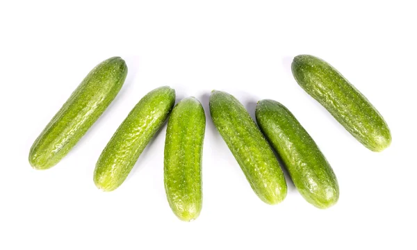 Green cucumber — Stock Photo, Image