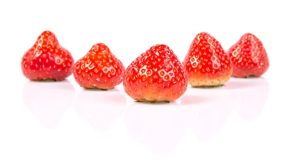 Strawberry — Stok Foto