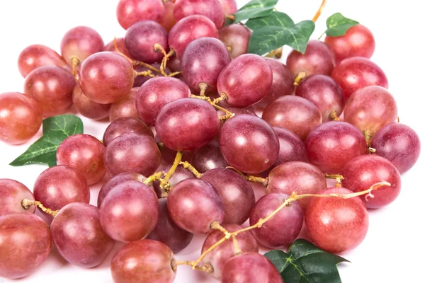 Uvas rojas maduras —  Fotos de Stock
