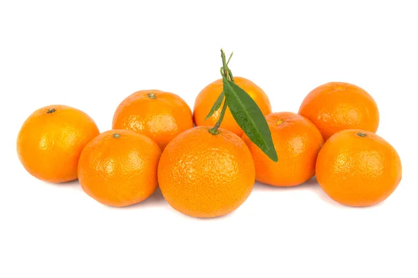 Mogen mandarin — Stockfoto