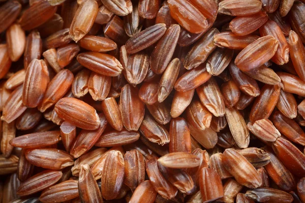 Arroz vermelho — Fotografia de Stock