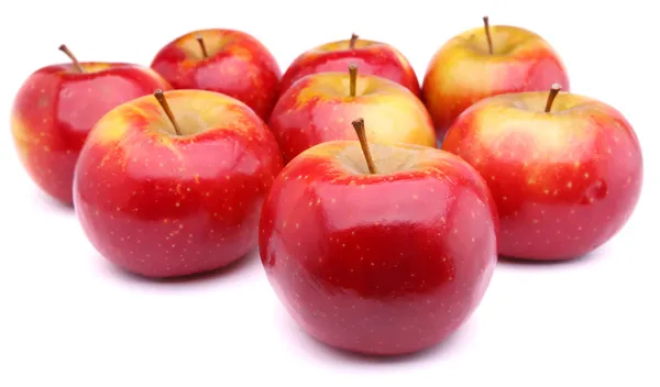 Olgun kırmızı elmalar — Stok fotoğraf