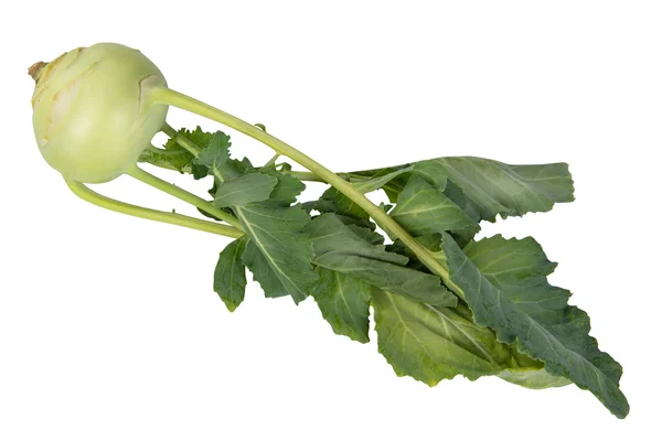 Kohlrabi — Stock fotografie