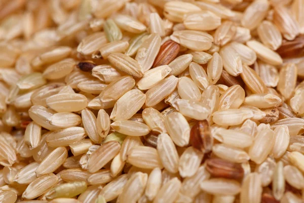 Arroz integral — Fotografia de Stock