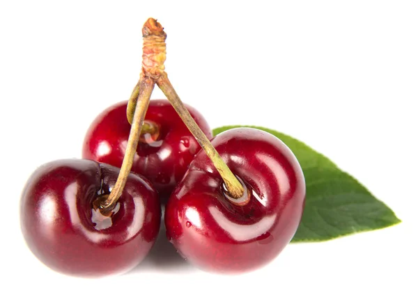 Cherries — Stock Photo, Image