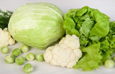 cabbages clipart