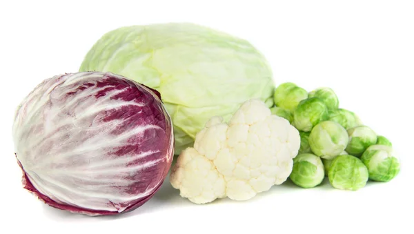 Cabbage — Stock Photo, Image