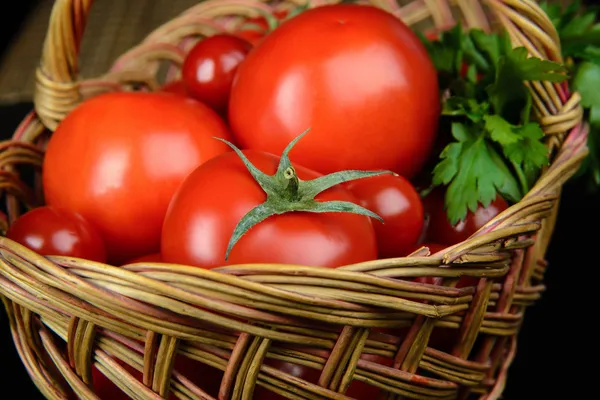 番茄和香菜 — 图库照片