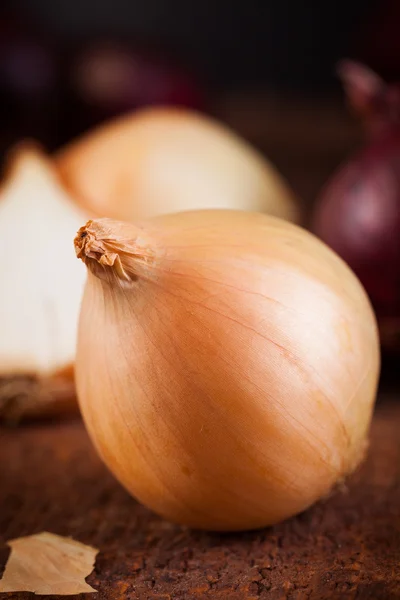 Frische Zwiebeln — Stockfoto