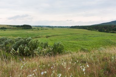Ukrayna güzel manzara