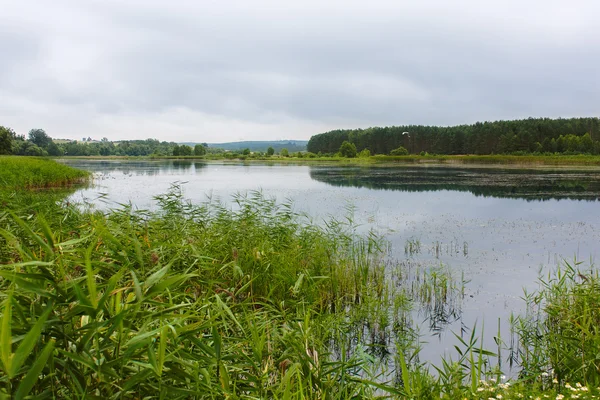 Calm lake — Stock Photo, Image