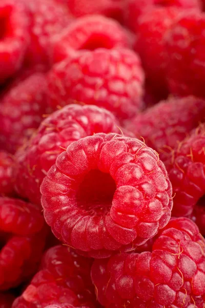 Fundo de rasberry maduro. Fechar macro tiro de framboesas — Fotografia de Stock