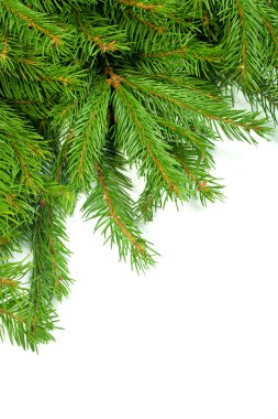 Noel arkaplanı. Eve çerçevesi