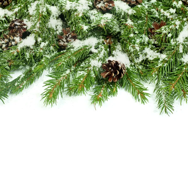 Julbakgrund. Eva-ramen — Stockfoto