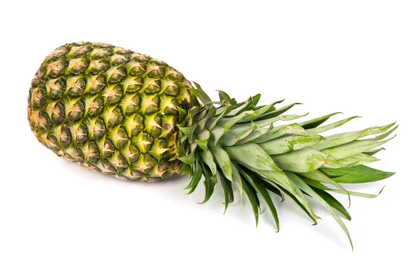 Single pineapple isolated on white — Stock Photo, Image