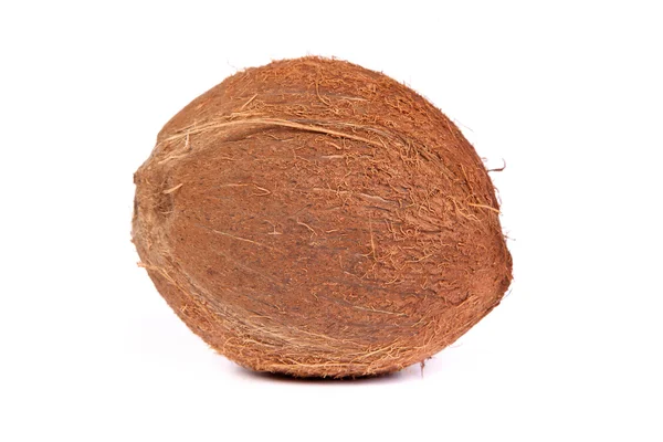 Coconut on a white background — Stock Photo, Image